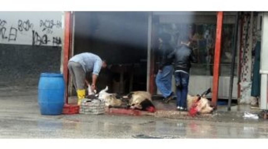 Kasap, Hayvanları Kaldırımda Kesip Y&uuml;zd&uuml;