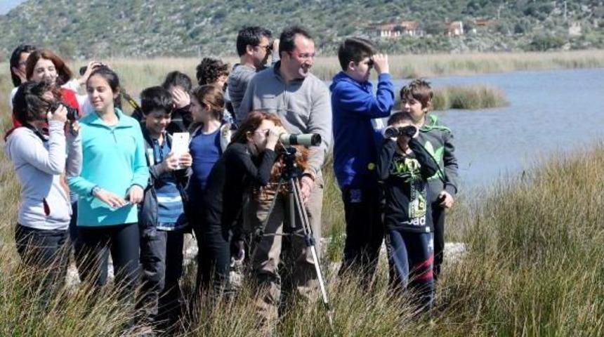 Avlamayın, Fotoğraflayın
