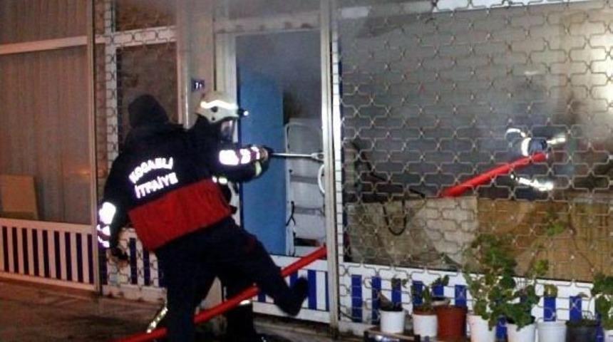 Yangında Zehirlenen Kedilere Itfaiyeden Oksijen Maskesi