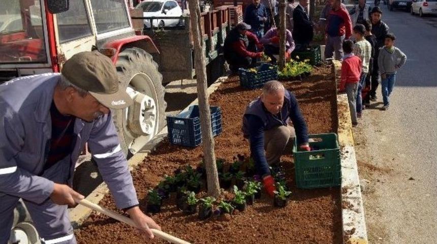 Akdeniz’de Mevsimlik Çiçek Dikimine Hız Verildi