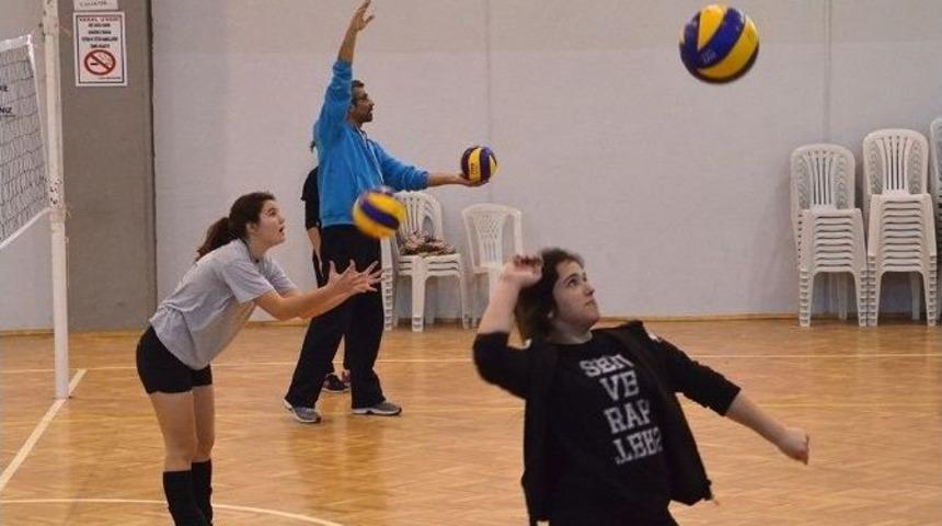 Fo&ccedil;a&rsquo;da &Ouml;rnek İşbirliği