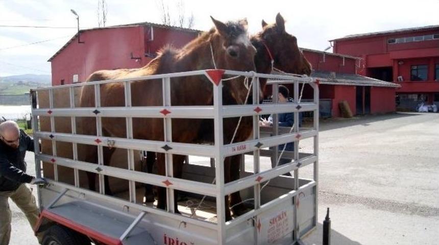 Yalova Belediyesi Mikro&ccedil;ip Uygulaması