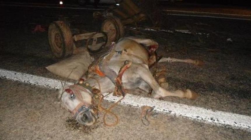 İki Aracın &Ccedil;arptığı At Telef Oldu, 3 Kişi Yaralandı