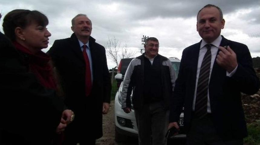 Zeytinde Kalite Arayışı