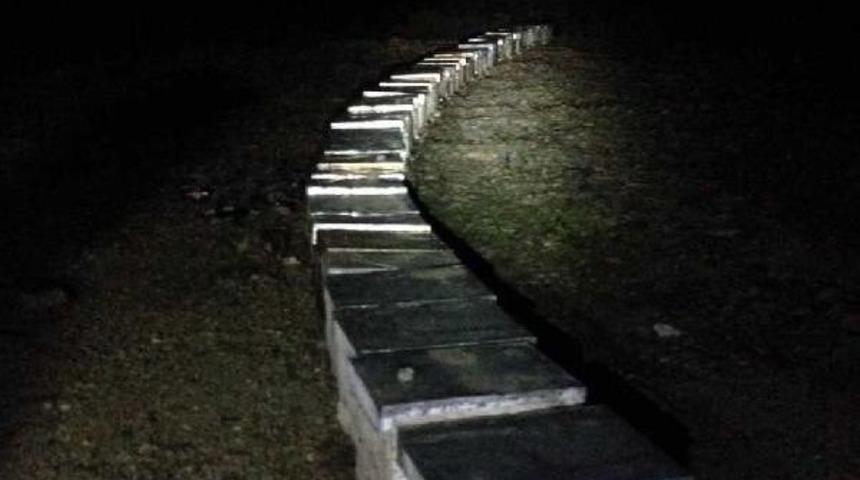 Arı Kovanı Hırsızlığına 1 Tutuklama