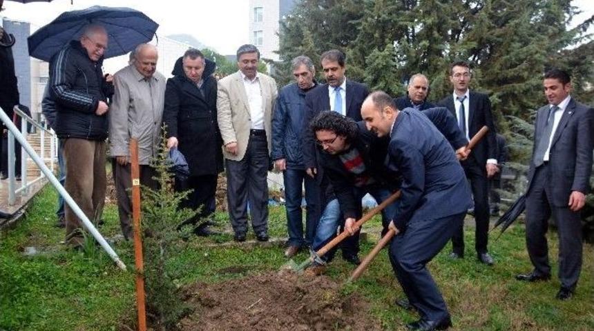&Uuml;niversitede 250 Fidan Dikildi