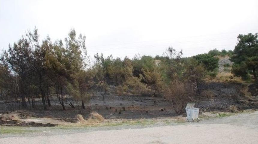 Hatay&rsquo;daki Mahalle Boşalttıran Orman Yangını