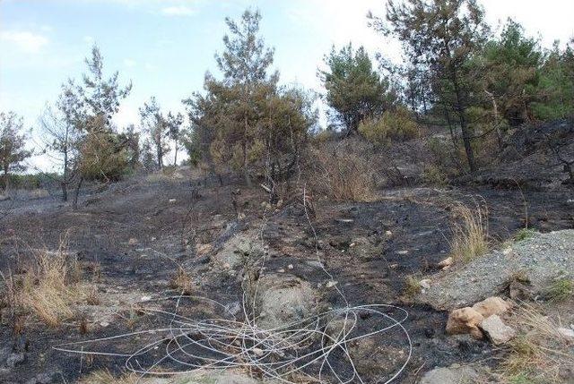 Hatay’daki Mahalle Boşalttıran Orman Yangını