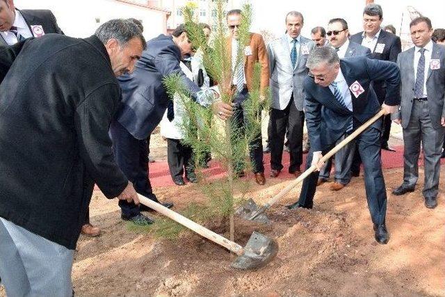 Aksaraylı Şehitlerin Adına Çam Fidanı Dikildi