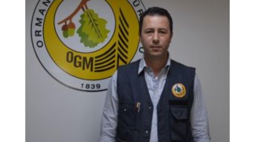 Fatsa&rsquo;da Fidan Dikimine Teşvik