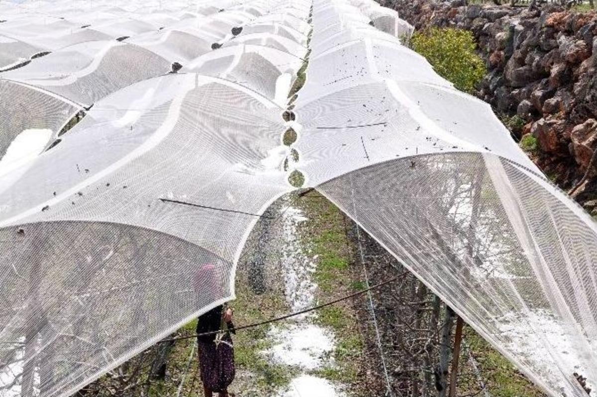 Mersin&rsquo;de Dolu &Ccedil;ift&ccedil;iyi Vurdu