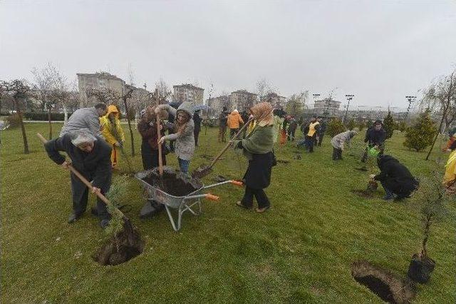 Yaşlılar Ağaç Dikme Şenliği’nde Buluştu