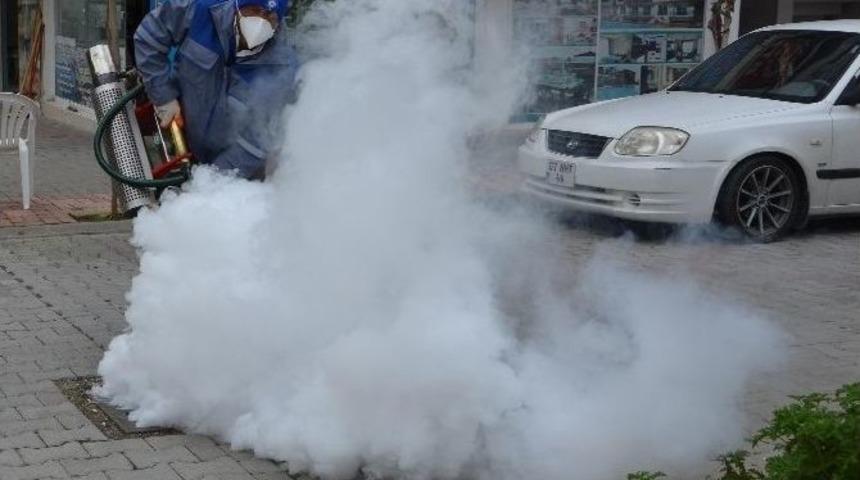 Antalya’da Haşere İle Mücadele Ordusu Kuruldu