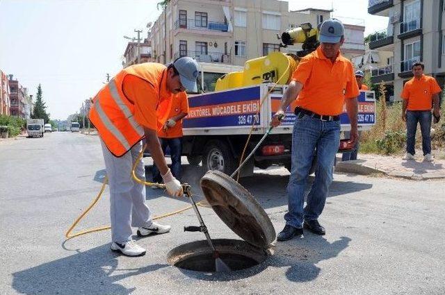 Antalya’da Haşere İle Mücadele Ordusu Kuruldu