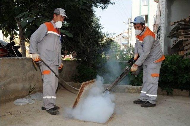 Antalya’da Haşere İle Mücadele Ordusu Kuruldu