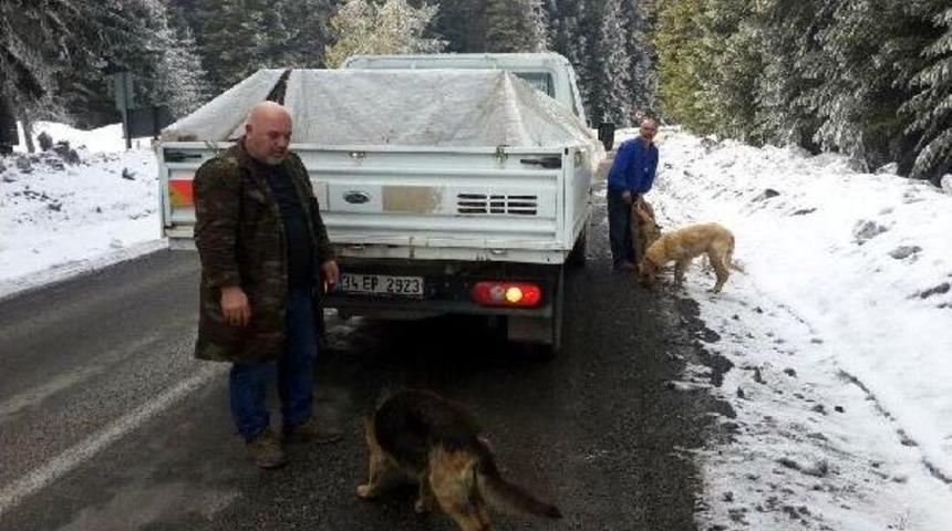 &Ouml;l&uuml;me Terk Edilen K&ouml;peklere Belediye Sahip &Ccedil;ıktı