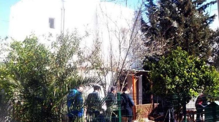 Fidan Dikmek I&ccedil;in A&ccedil;tığı &Ccedil;ukurda Kafatası Buldu