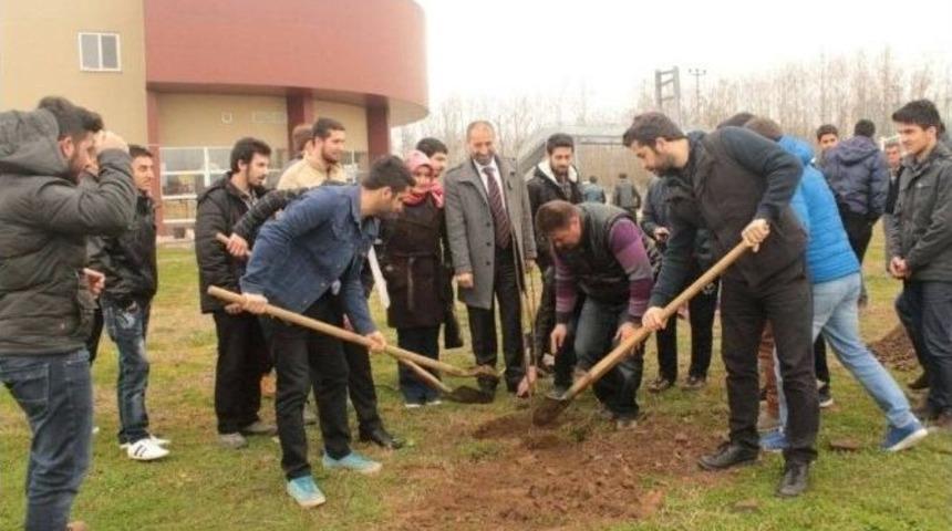 Terme Meslek Y&uuml;ksekokulu Meyve Fidanı Dikim Etkinliği