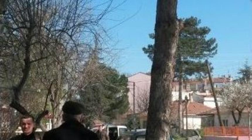 Emekli Astsubay Budamak İstediği Ağa&ccedil;tan D&uuml;şerek &Ouml;ld&uuml;