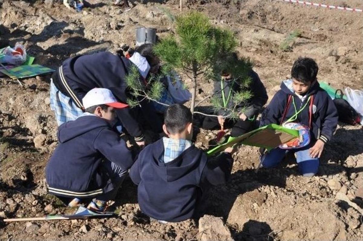 Orman Haftası Fidan Dikimi İle Başladı