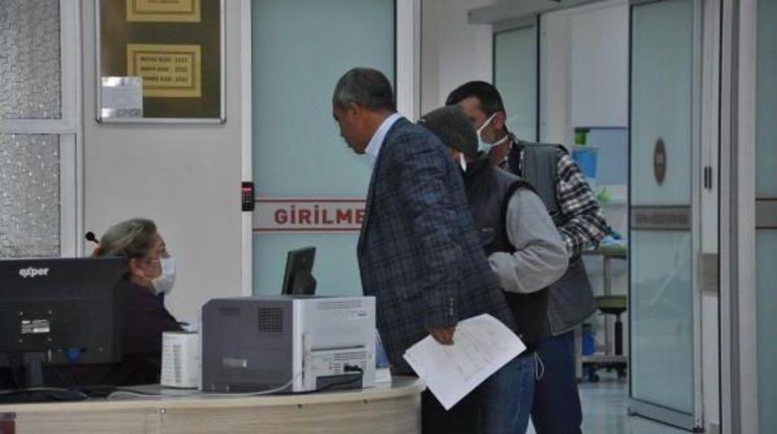 Didim'de 'domuz Gribi' Paniği