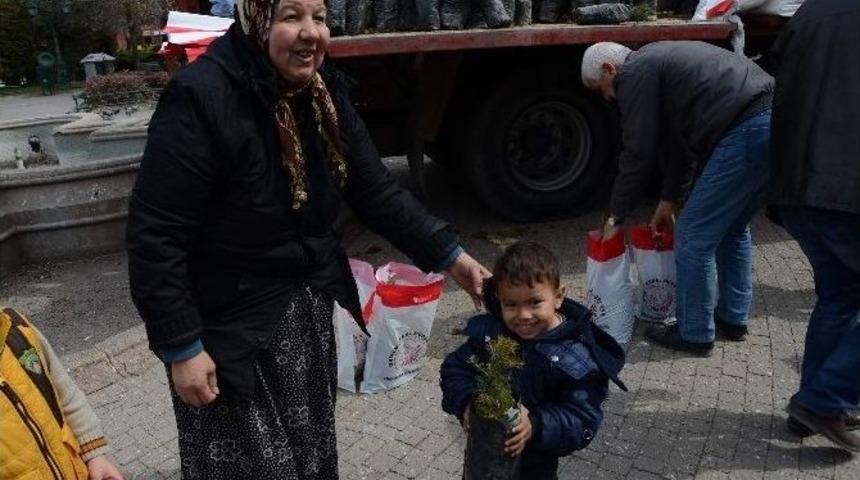Orman B&ouml;lge M&uuml;d&uuml;rl&uuml;ğ&uuml; Cami &Ouml;n&uuml;nde Vatandaşlara 4 Bin 800 Adet Sedir Fidan Dağıttı