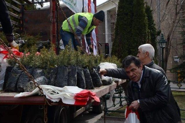 Orman Bölge Müdürlüğü Cami Önünde Vatandaşlara 4 Bin 800 Adet Sedir Fidan Dağıttı