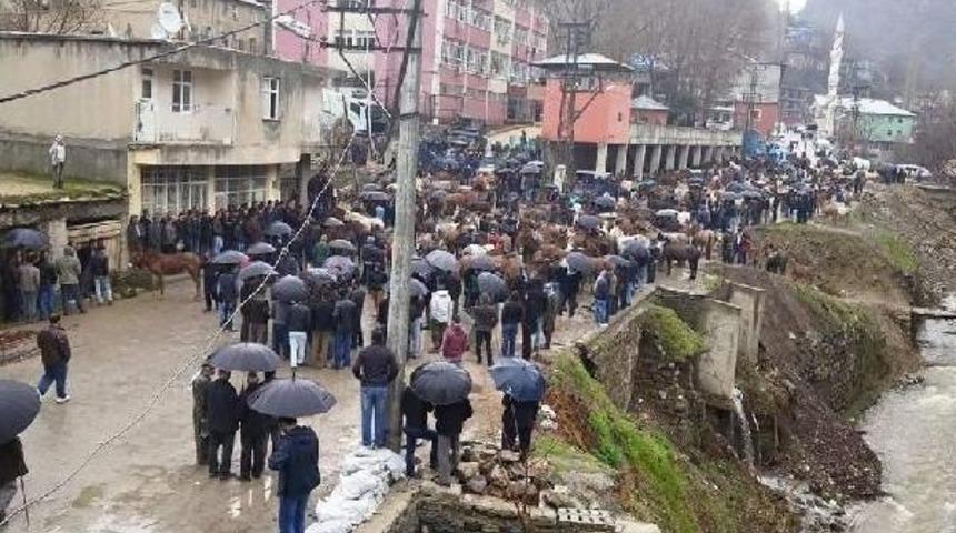 Uludere'de 57 Katır I&ccedil;in Itlaf Talebini Katırlarla Protosto Ettiler