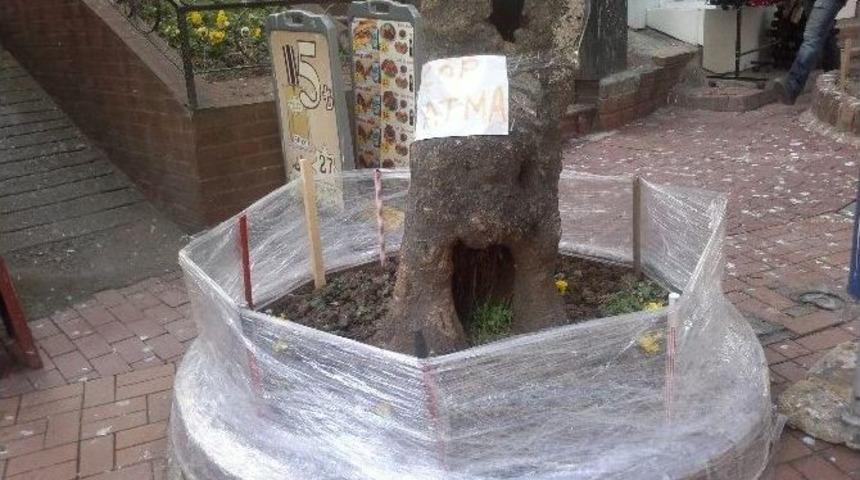 Asırlık &Ccedil;ınara, Vatadandaşlardan &Ccedil;&ouml;p &Ouml;nlemi