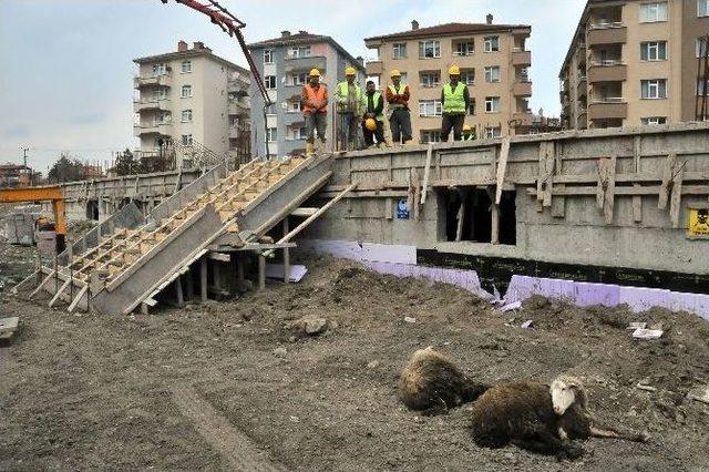 Akşehir’de Hafızlık Kız Kur’an Kursu Temeli Atıldı