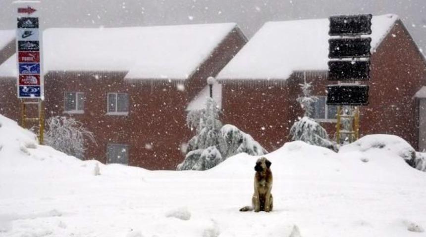 Kartepe'de Yeniden Kar Yağışı Başladı
