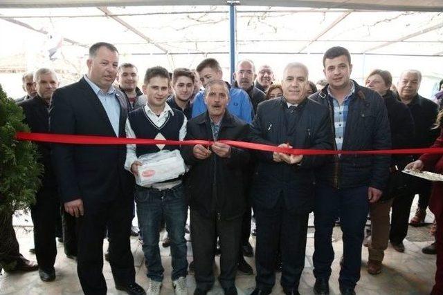 Bozbey Makamını Mahalleye Taşıdı 1