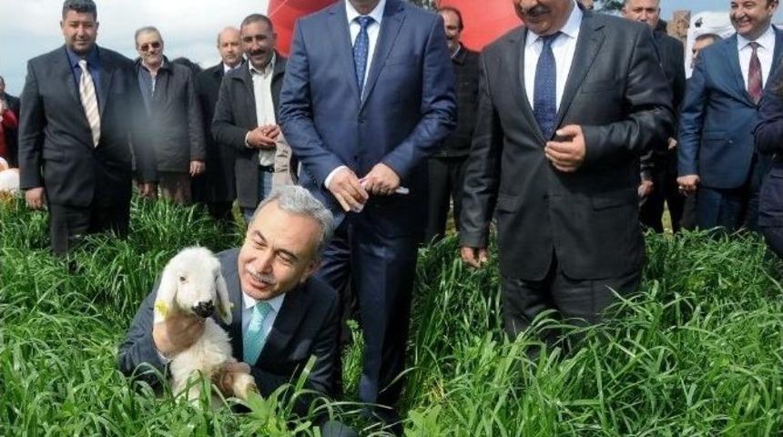 Islah Edilen 458 Dekarlık Mera A&ccedil;ıldı