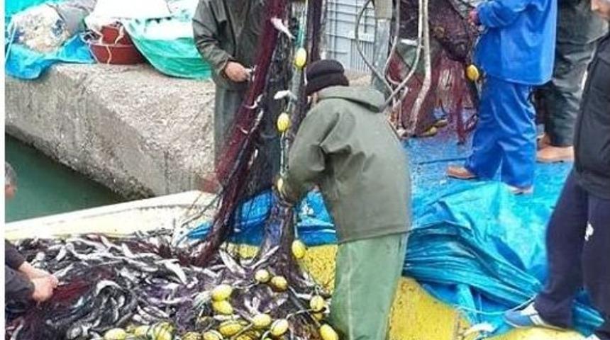 Ak&ccedil;akoca&rsquo;da Kefal Avı Başladı