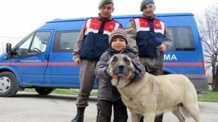 Jandarmadan &lsquo;kangal&rsquo; Operasyonu