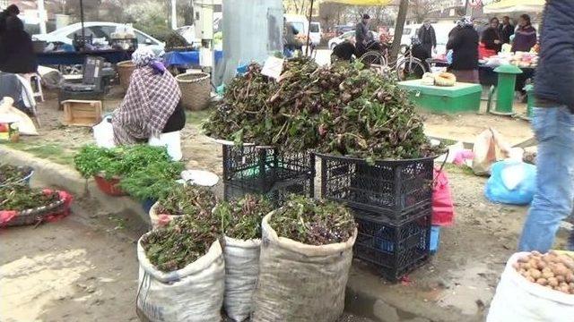 Doğal Şifa Deposu Pazardaki Yerini Aldı