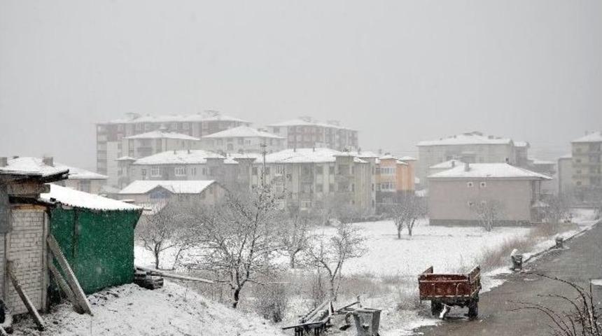 Erken Tomurcuklanan Kayısı Ağa&ccedil;ları Kardan Olumsuz Etkilendi