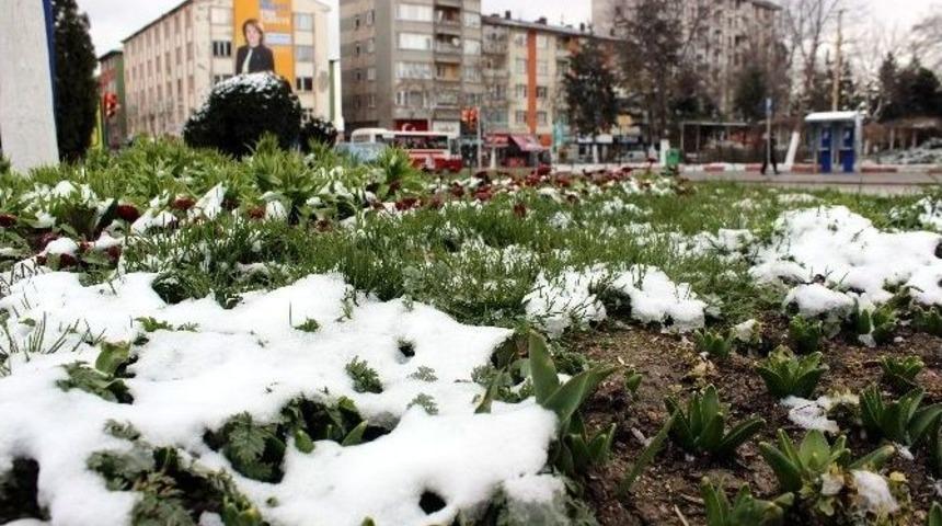 K&uuml;tahya&rsquo;ya Mart Karı