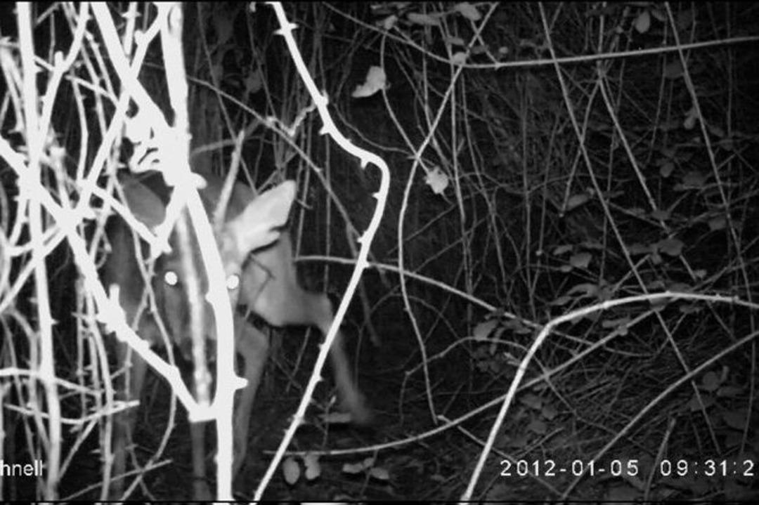 Od&uuml;&rsquo;den M&uuml;thiş Keşif