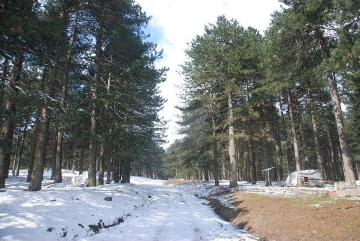 Egelilere Bahar Karı S&uuml;prizi