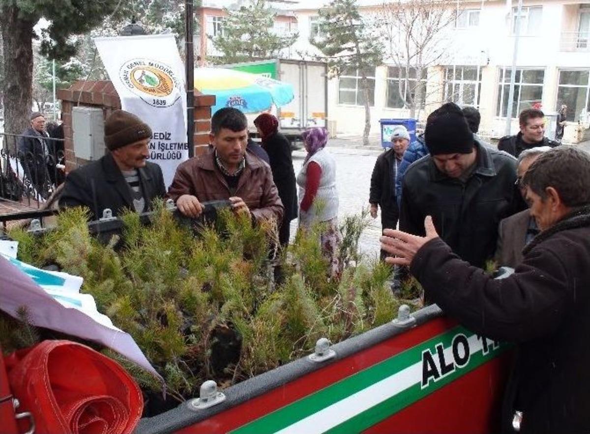 Gediz Orman İşletme M&uuml;d&uuml;rl&uuml;ğ&uuml; 2 Bin 600 Adet Ağa&ccedil; Fidanı Dağıttı