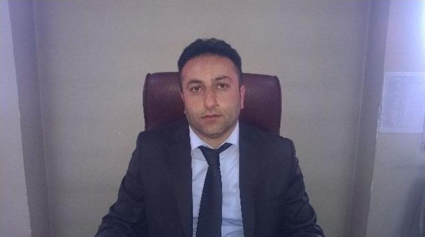 Hakkari&rsquo;de Başıboş K&ouml;pek Sorunu