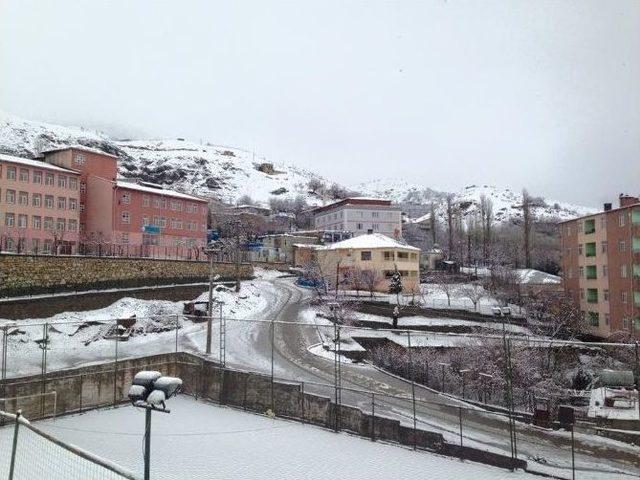 Kar Yağışı Kulp İl&ccedil;esini Beyaz &Ouml;rt&uuml;ye B&uuml;r&uuml;d&uuml; 3