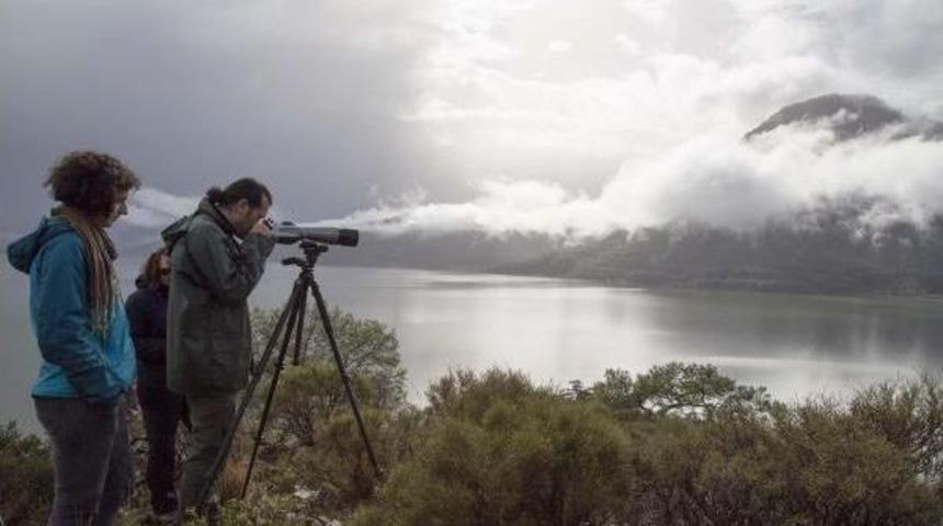 Ege Kuş Cenneti Oldu