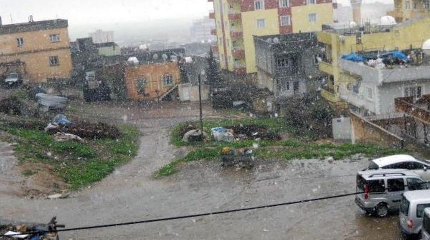 Elazığ Ve Mardin'de Beyaz Esaret
