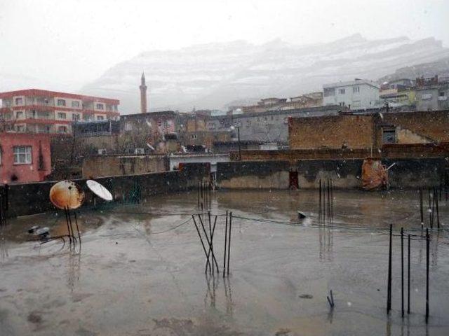 Elazığ Ve Mardin'de Beyaz Esaret