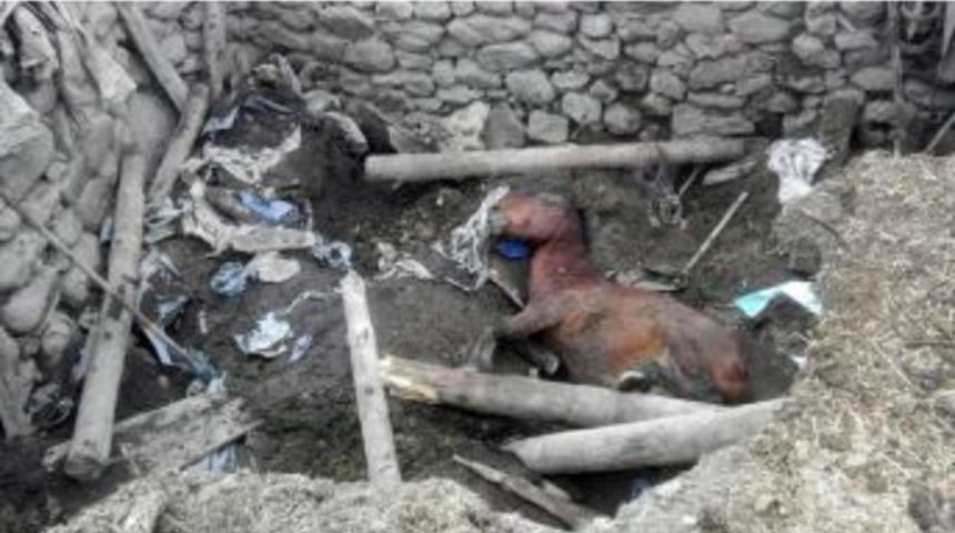 Dağcı K&ouml;y&uuml;nde Ahır &Ccedil;&ouml;kt&uuml;: 1 &Ouml;l&uuml;