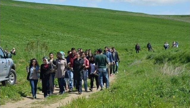 Gençler 5 Bine Yakın Fidanı Toprakla Buluşturdu