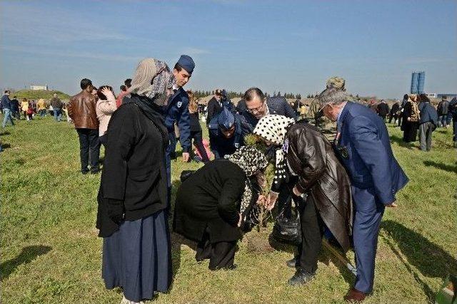 Hava Üssünde Şehitler İçin Fidan Dikildi