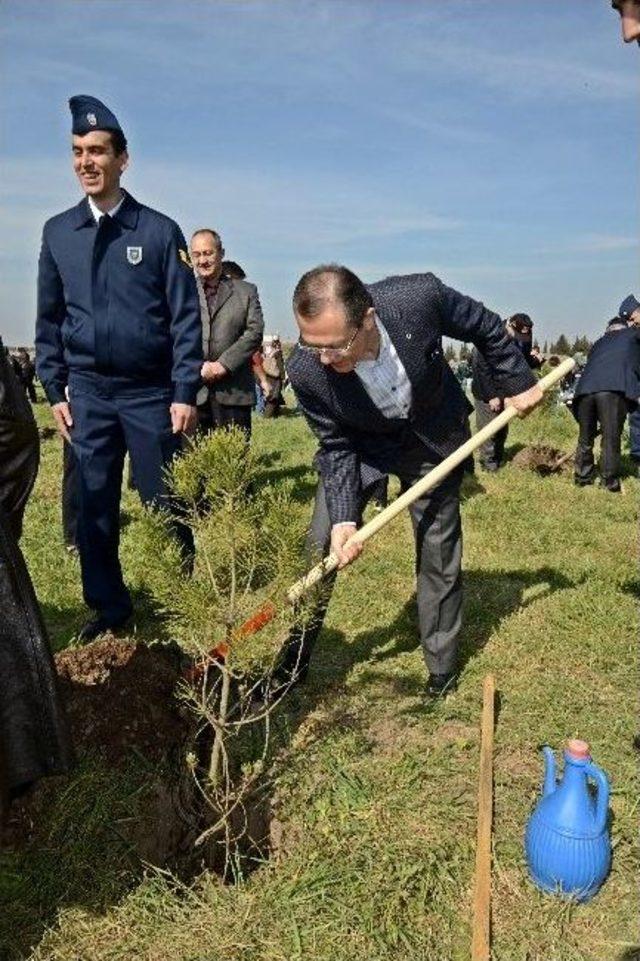 Hava Üssünde Şehitler İçin Fidan Dikildi